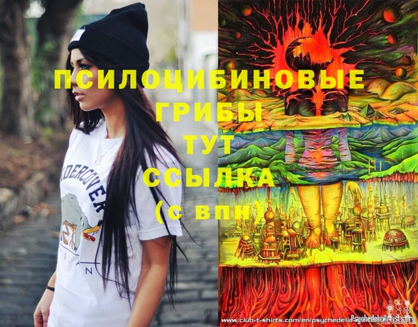 марки lsd Карпинск