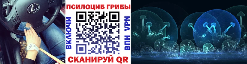 хочу наркоту  darknet как зайти  MEGA ССЫЛКА  Псилоцибиновые грибы прущие грибы  Кирово-Чепецк 